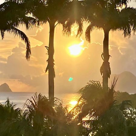 Superbe Studio Martinique Vue Rocher Du Diamant Сент-Люс Экстерьер фото