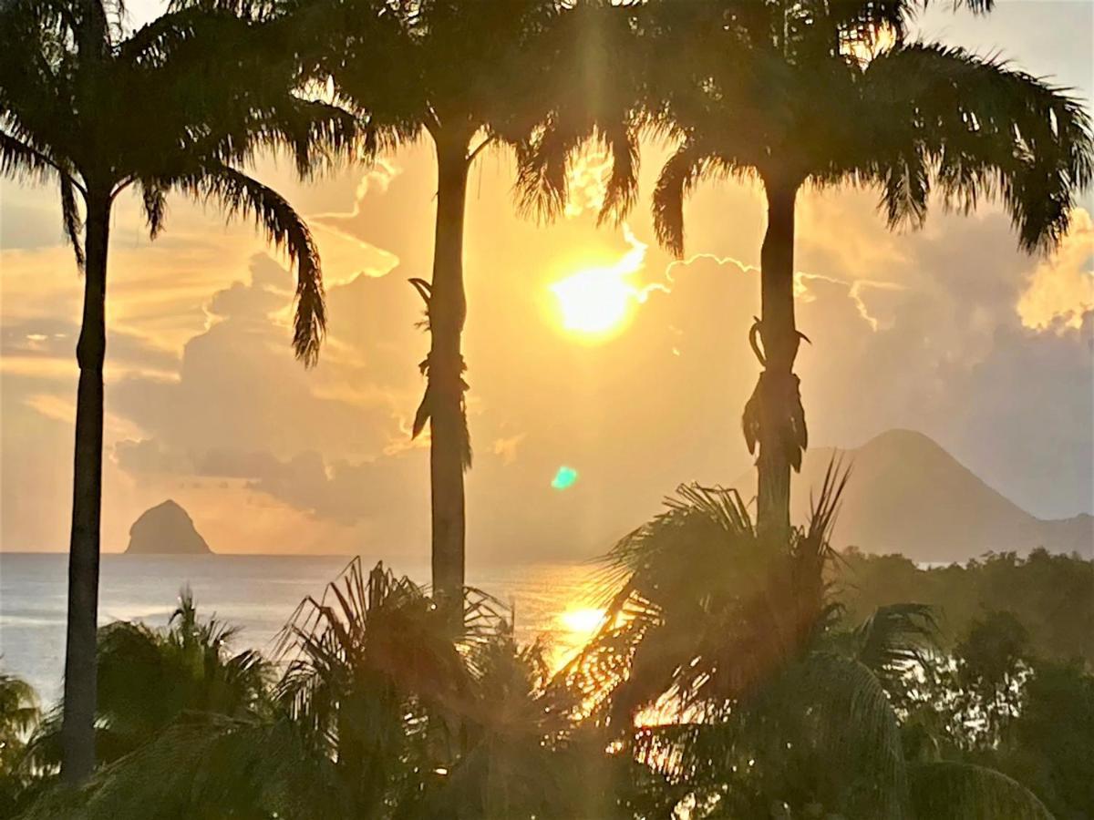 Superbe Studio Martinique Vue Rocher Du Diamant Сент-Люс Экстерьер фото